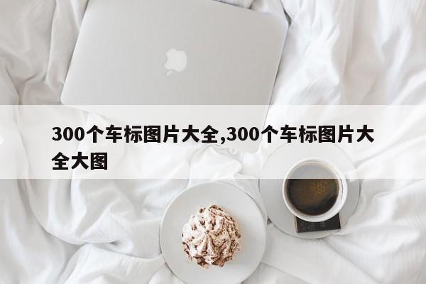 300个车标图片大全,300个车标图片大全大图