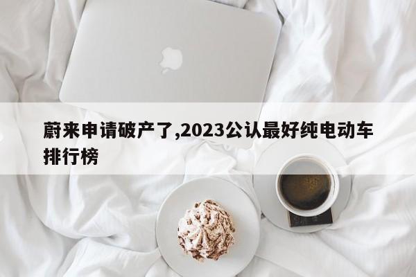 蔚来申请破产了,2023公认最好纯电动车排行榜