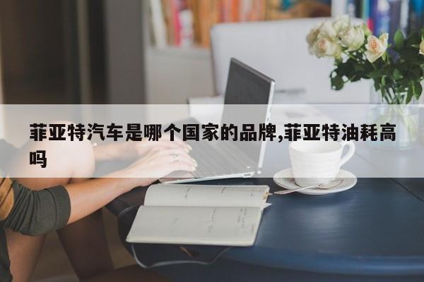 菲亚特汽车是哪个国家的品牌,菲亚特油耗高吗