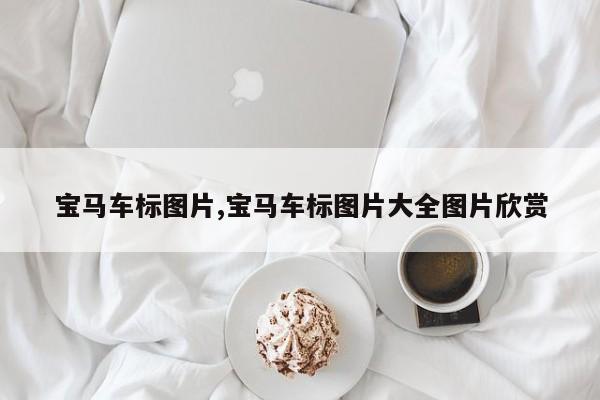 宝马车标图片,宝马车标图片大全图片欣赏