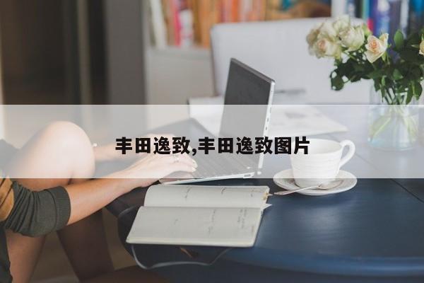 丰田逸致,丰田逸致图片