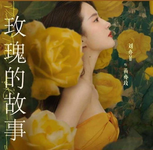 玫瑰的故事之闪耀的她（66集）胡冬晴