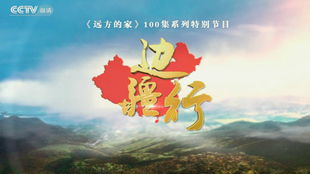 虫儿飞（80集）
