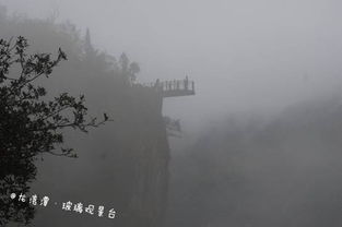 爱在悬崖上（149集）马乐婕