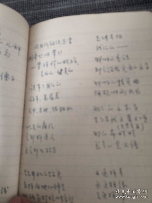 房东日记（80集）