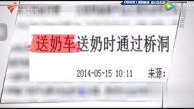 快递不送了我要做大佬（96集）安芝彤(1)