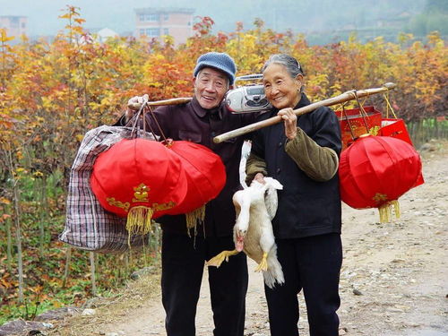 男生开3系丢人吗,开3系的是不是渣男