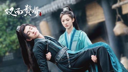 免费观看双面赘婿短剧完整版