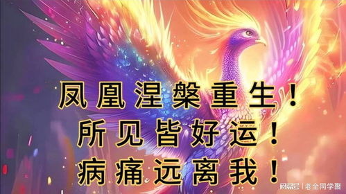 凤凰涅槃，免费短剧，全新观影体验