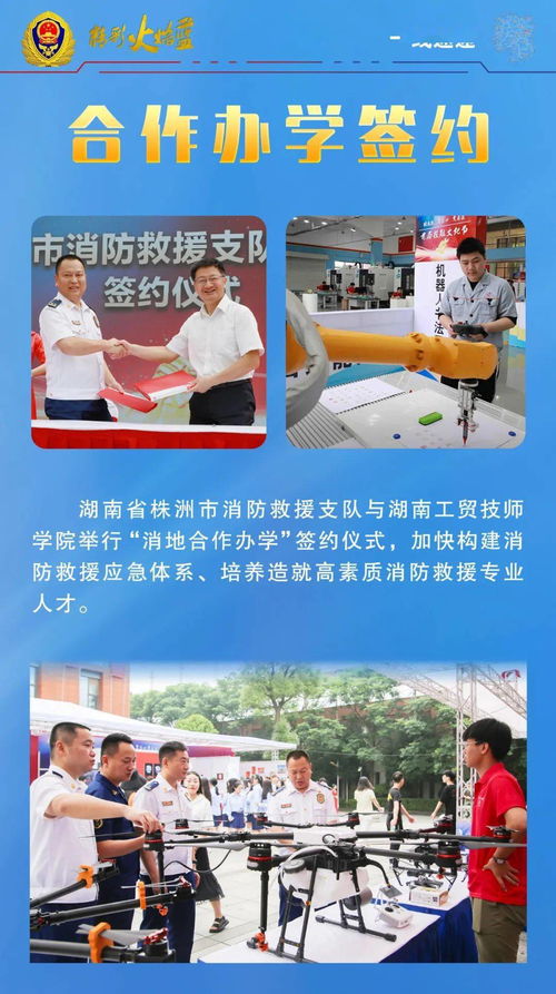 免费观看青鸟短剧高清，精彩世界尽在其中
