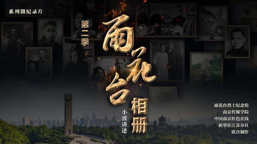天启短剧免费观看，第二季精选集