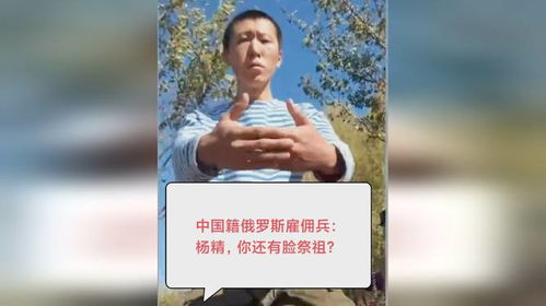 认贼作父，情感纠葛与人生启示短剧免费观看