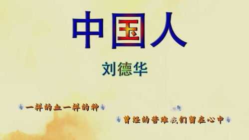 物是人非，免费高清短剧全集探索