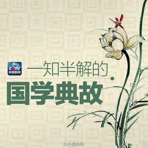 食髓知味的典故与出处，一部免费观看的短剧推荐