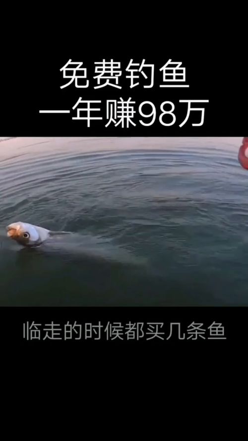 免费观看清柠短剧，钓鱼全集