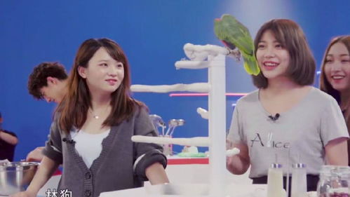 林菀短剧的魅力，只爱TVB免费观看的独特情感