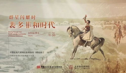 禅师归来，心灵觉醒之旅免费观看全集