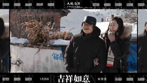 老王影视短剧，免费观看的精彩世界大全
