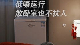 免费观看夫妻生活点滴，平淡短剧，体验家的温暖