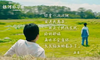 免费观看爸爸亲情短剧高清精选