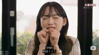 包子姑娘短剧免费全集观看