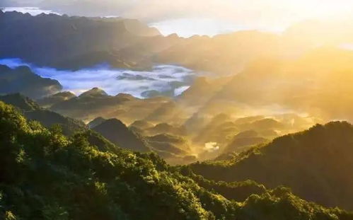 探秘大山荣耀，免费观看，感受大自然的魅力