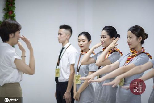 空姐的精彩世界，免费观看全集短剧视频