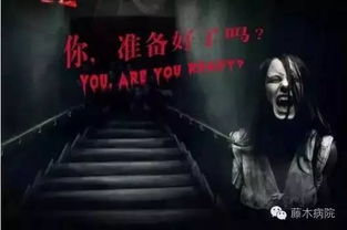 免费观看全集，丧尸胖子短剧惊悚体验