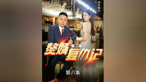 免费观看离婚赘婿短剧全集