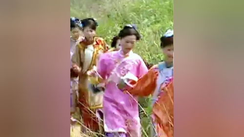 帝都郊外，精彩片段免费观看