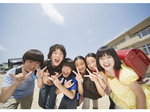 学生兄弟，多彩校园生活的短剧免费观看