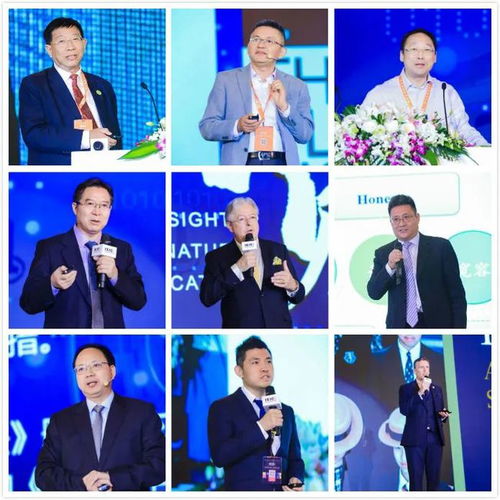 逃婚攻略，轻松应对人生大考的免费观看短剧第二季