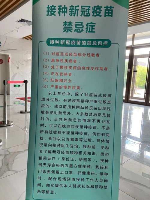 免费观看高清版擎天短剧新体验