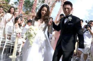免费观看争吵婚礼短剧完整版