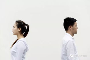 男友离世后的心灵疗愈之旅，免费观看短剧，寻找生活新勇气