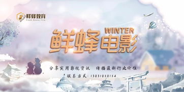 纵横商战，免费国语短剧，探索商业魅力之旅