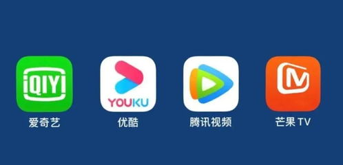 网络短剧叶晨免费观看大全指南