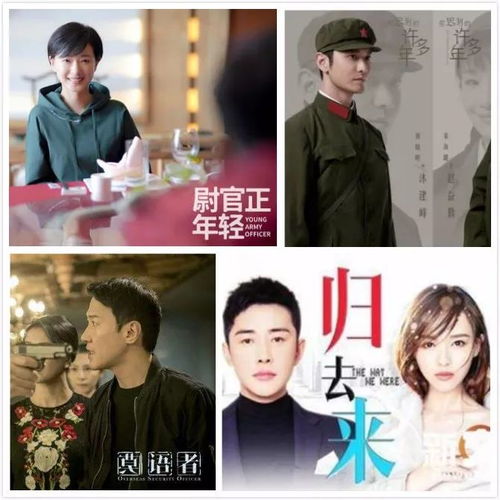 独家视频短剧免费全集中观看