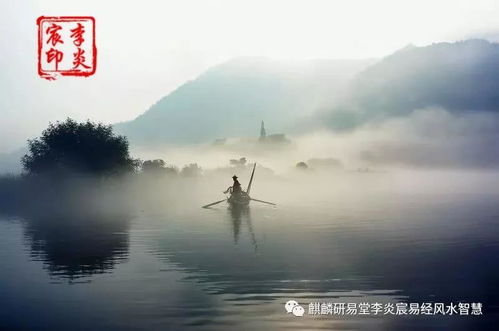 跳海重生，深思之作免费观看高清
