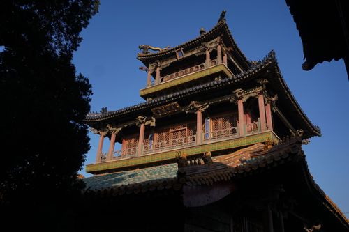 免费观看云中阁短剧及楼阁在线视频标题，，云中阁与楼阁短剧在线免费观看
