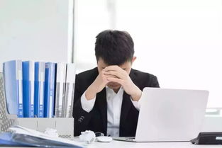 离婚创意，情感与生活多元视角免费短剧