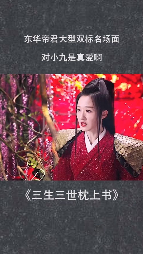 免费观看帝君短剧全集高清，视觉与情感的盛宴