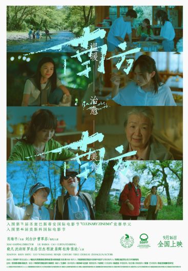 旅行独白，电影与短剧的魅力之旅