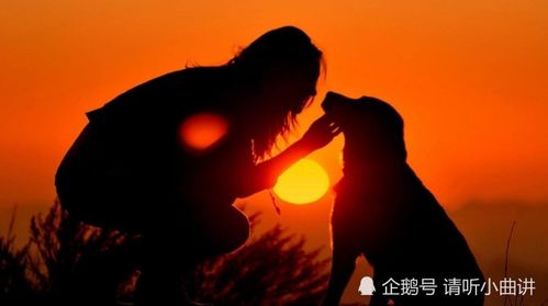 免费观看，挖眼之痛与视觉的魅力短剧