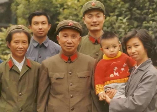 免费观看无双短剧，楚青的精彩世界