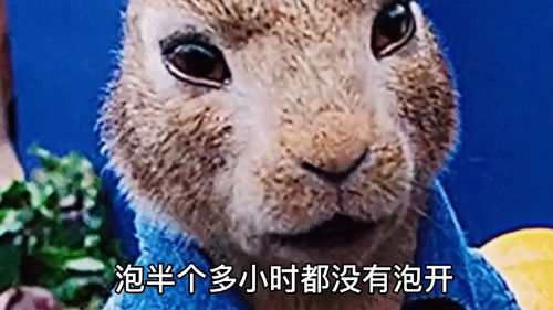 海豹视频短剧，免费畅享精彩内容