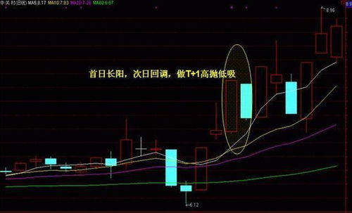 免费观看短剧，揭开神秘面纱的全新体验