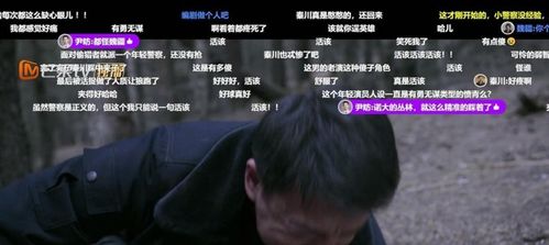 免费观看受虐短剧，正义的探索与观看指南