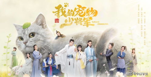 王子归来，视觉与情感的免费盛宴