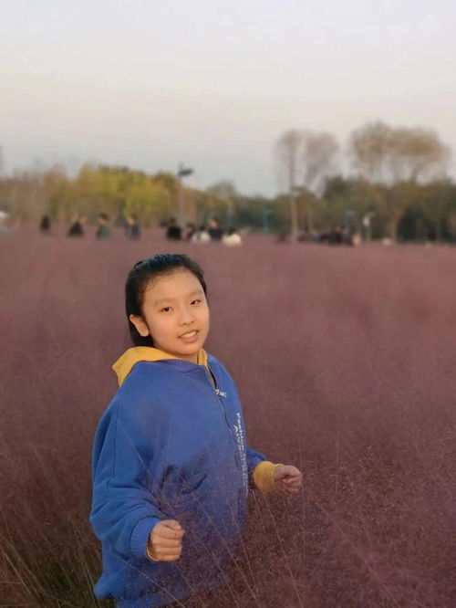 少年神医，医术传奇与少年的成长故事